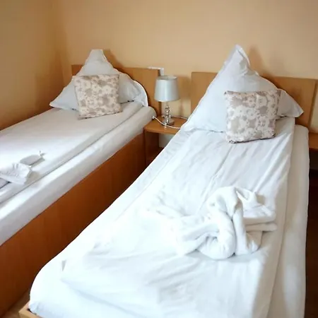 Guest house Pensiunea Elias Cluj-Napoca